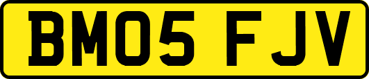 BM05FJV