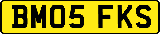 BM05FKS