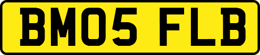 BM05FLB