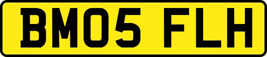 BM05FLH