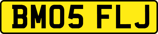 BM05FLJ
