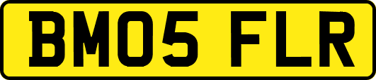 BM05FLR