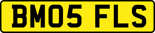 BM05FLS