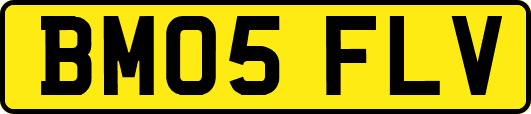 BM05FLV