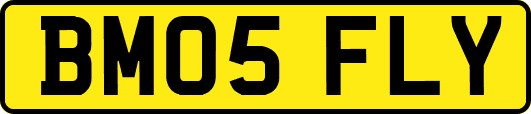 BM05FLY