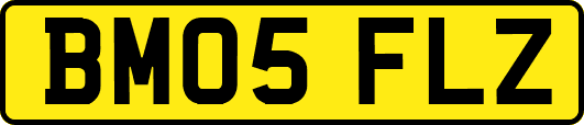 BM05FLZ