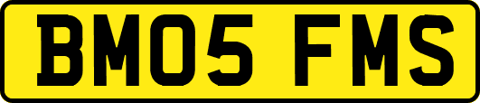 BM05FMS