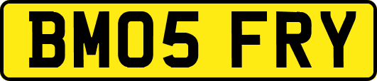 BM05FRY