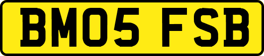 BM05FSB