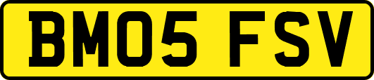 BM05FSV