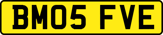 BM05FVE