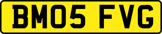 BM05FVG