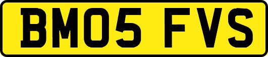 BM05FVS