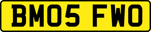 BM05FWO