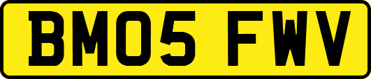 BM05FWV