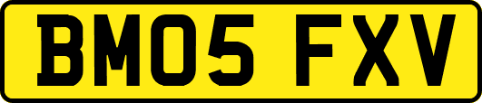 BM05FXV