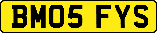 BM05FYS