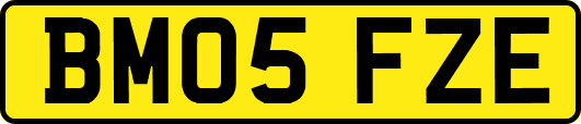 BM05FZE
