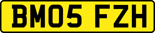 BM05FZH