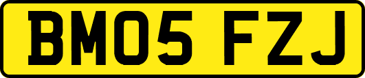 BM05FZJ