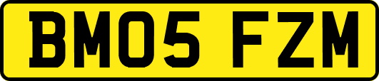 BM05FZM