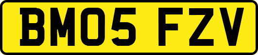 BM05FZV