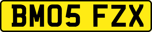 BM05FZX