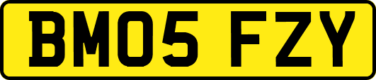 BM05FZY