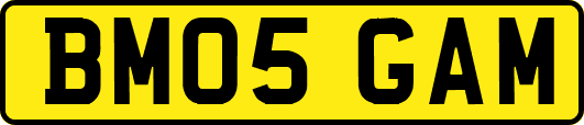 BM05GAM