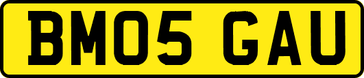 BM05GAU