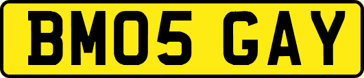 BM05GAY