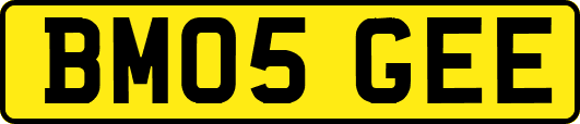 BM05GEE