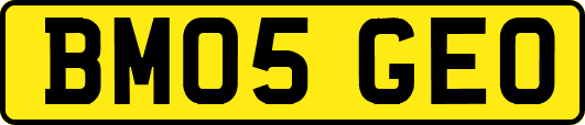 BM05GEO