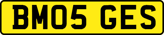 BM05GES