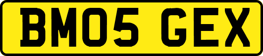 BM05GEX