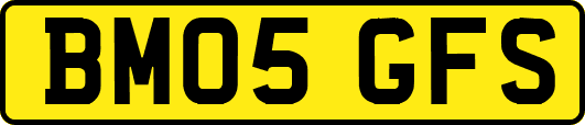 BM05GFS