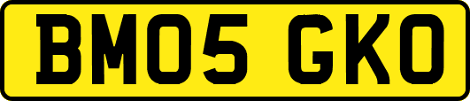 BM05GKO