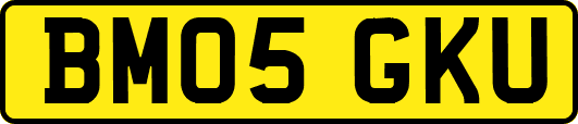 BM05GKU
