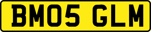 BM05GLM