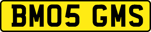 BM05GMS