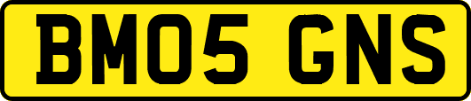 BM05GNS