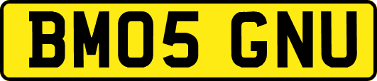 BM05GNU