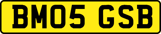 BM05GSB