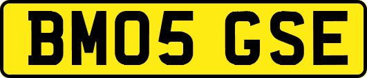BM05GSE