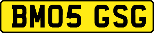 BM05GSG