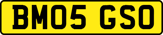 BM05GSO