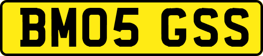 BM05GSS