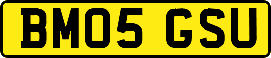 BM05GSU