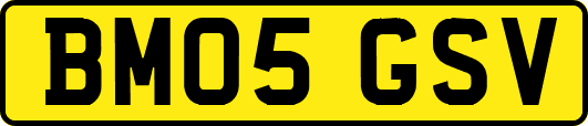 BM05GSV