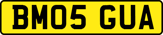 BM05GUA